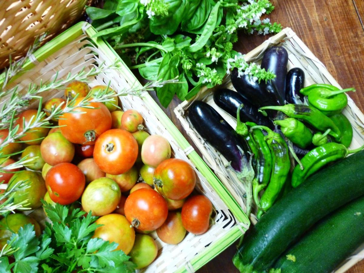 Les Vinyes Alojamiento Rural Boutique & Spa Vilardida Ngoại thất bức ảnh